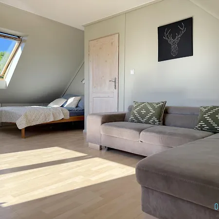 Nawypasie Grand With Fireplace Beautiful Garden Sup Board And Just 30 Minutes From Gdansk And Gdynia Διαμέρισμα