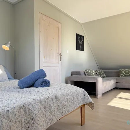 Nawypasie Grand With Fireplace Beautiful Garden Sup Board And Just 30 Minutes From Gdansk And Gdynia Szemud